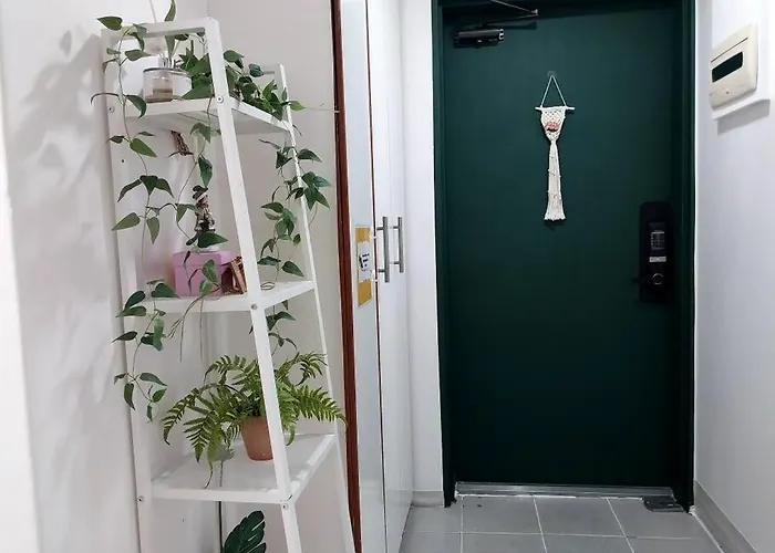 메모리 아파트 *
